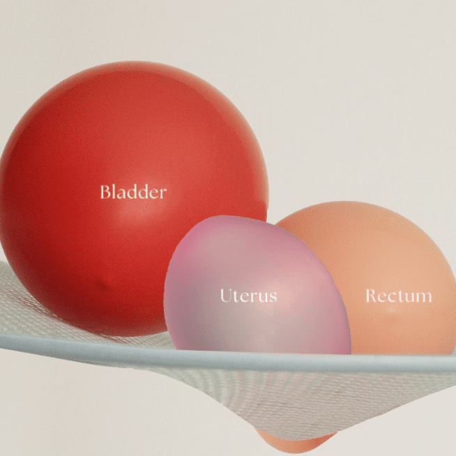 Pelvic Organ Prolapse: Causes, Symptoms, Treatment Options